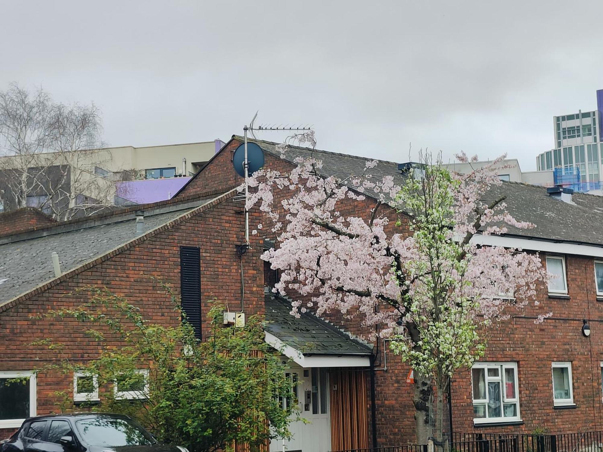 Clifton House O2 & Excel Rooms With Private Bathroom And Breakfast Option London Exterior photo